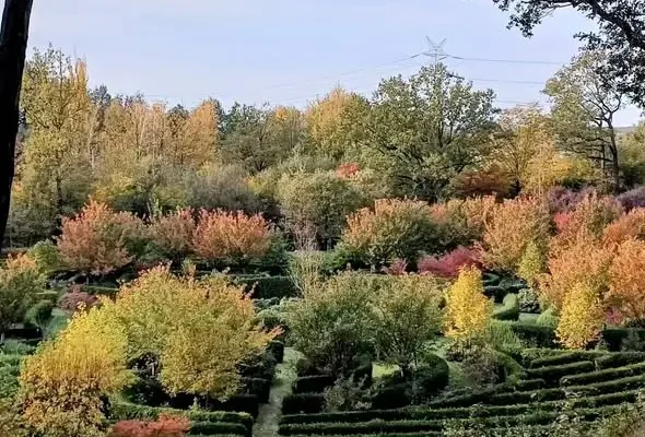 Arboretum Bramy Morawskiej w Raciborzu – idealne miejsce na aktywny wypoczynek