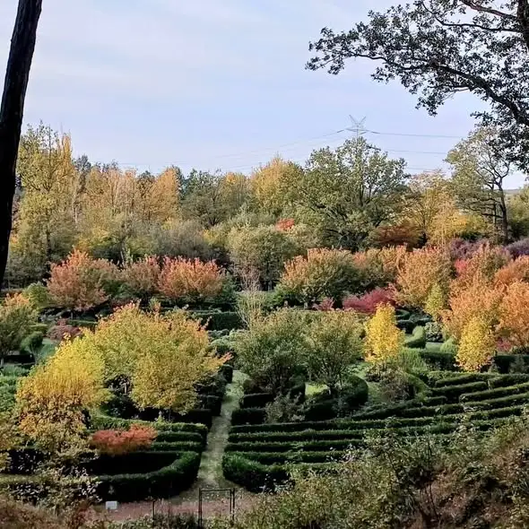 Arboretum Bramy Morawskiej w Raciborzu – idealne miejsce na aktywny wypoczynek