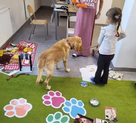 Klasa IB w Raciborzu uczy się empatii podczas zajęć z psem
