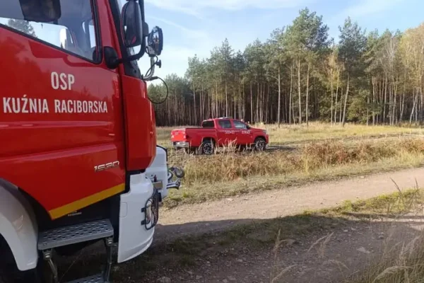 Pożar ściółki leśnej przy ul. Obrębowej – szybka reakcja zapobiegła tragedii