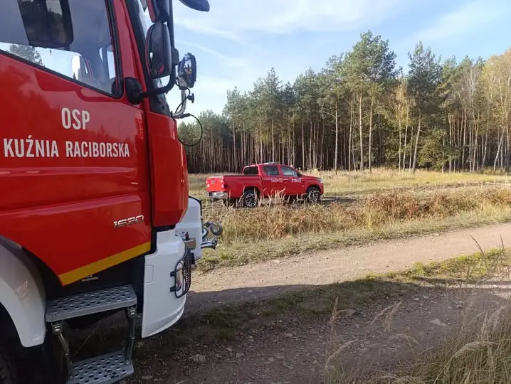 Pożar ściółki leśnej przy ul. Obrębowej – szybka reakcja zapobiegła tragedii